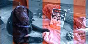 Beitragsbild des Blogbeitrags Kevin Dutton: Schwarz.Weiss.Denken!