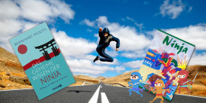 Beitragsbild des Blogbeitrags Ninja Buch