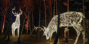 Beitragsbild des Blogbeitrags LUMAGICA Innsbruck