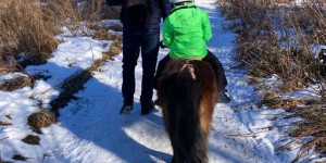 Beitragsbild des Blogbeitrags Ponyreiten am Wirtshaus Nattererboden