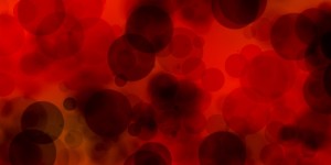 Beitragsbild des Blogbeitrags Is it impossible to live cruelty-free? 