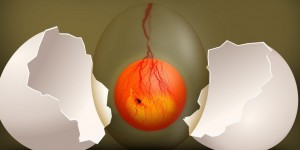 Beitragsbild des Blogbeitrags Chicken or the Egg Dilemma aka Learning or Performance