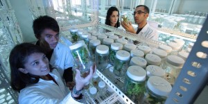 Beitragsbild des Blogbeitrags Not Enough Science: Women in STEM