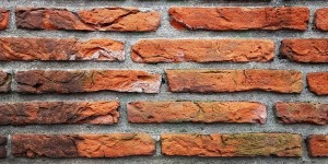 Beitragsbild des Blogbeitrags Explore the Unknown Before Building a Wall 