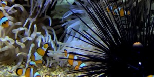 Beitragsbild des Blogbeitrags Here be Monsters: The Unchartered Depths