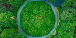 Beitragsbild des Blogbeitrags Economies do not need to grow – Doughnut Economics