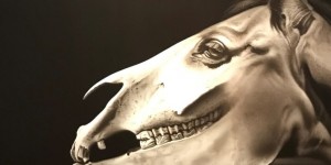 Beitragsbild des Blogbeitrags Baroque Revisited: An Interview with Hynek Martinec