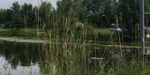 Beitragsbild des Blogbeitrags Permaculture – the future is the present