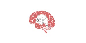 Beitragsbild des Blogbeitrags Lessons from the mental hospital