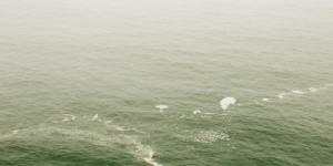 Beitragsbild des Blogbeitrags Conversation #4 Depression and Anxiety
