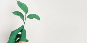 Beitragsbild des Blogbeitrags How about not feeling guilty for being eco-friendly
