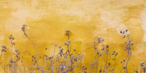 Beitragsbild des Blogbeitrags Conversation #9 Anxiety Disorder
