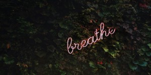 Beitragsbild des Blogbeitrags How to celebrate World Health Day during a World Health Crisis