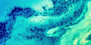 Beitragsbild des Blogbeitrags Solidarity in self-isolation: Why we #leavenoonebehind during a global pandemic