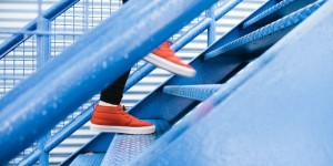 Beitragsbild des Blogbeitrags OBEN – from networks to ideas 