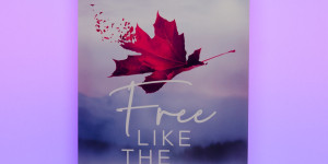 Beitragsbild des Blogbeitrags [Rezension] Kira Mohn „Free like the wind“ 