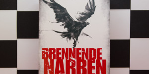 Beitragsbild des Blogbeitrags [Rezension] Leo Born „Brennende Narben“ 