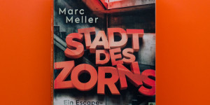 Beitragsbild des Blogbeitrags [Rezension] Marc Meller „Stadt des Zorns“ 