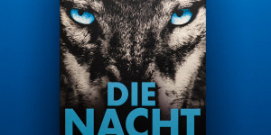 Beitragsbild des Blogbeitrags [Rezension] Jan Beck „Die Nacht“ (Björk und Brand Bd.2) 