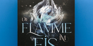 Beitragsbild des Blogbeitrags [Rezension] Carina Schnell „Die Flamme im Eis“ 