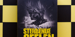 Beitragsbild des Blogbeitrags [Rezension] Leo Born „Sterbende Seelen“ 