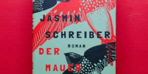 Beitragsbild des Blogbeitrags [Rezension] Jasmin Schreiber „Der Mauersegler“ 