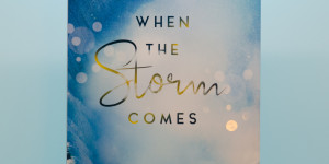 Beitragsbild des Blogbeitrags [Rezension] Carina Schnell „When the Storm Comes“ (Sommer-in-Kanada-Reihe 1) 