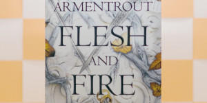 Beitragsbild des Blogbeitrags [Rezension] Jennifer L. Armentrout „Flesh and Fire: Liebe kennt keine Grenzen“ 