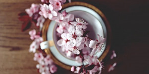 Beitragsbild des Blogbeitrags frühlingsgefühle