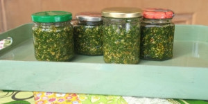 Beitragsbild des Blogbeitrags Bärlauch - Wild Garlic