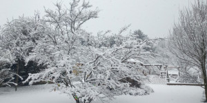 Beitragsbild des Blogbeitrags Frühling - Spring 2021