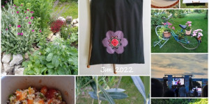 Beitragsbild des Blogbeitrags Monatscollage für Juni 2022