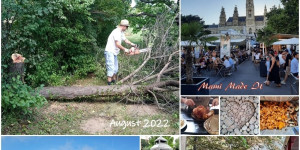 Beitragsbild des Blogbeitrags Monatscollage August 2022