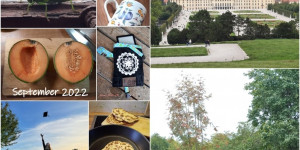 Beitragsbild des Blogbeitrags Monatscollage September 2022