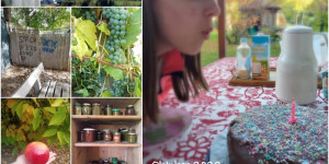 Beitragsbild des Blogbeitrags Monatscollage Oktober 2022