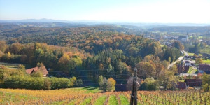 Beitragsbild des Blogbeitrags Schilcherland Steiermark - Schilcher Wine Route Styria 
