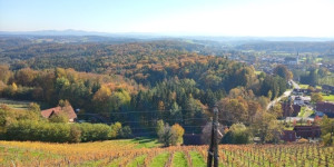 Beitragsbild des Blogbeitrags Schilcherland Steiermark - Schilcher Wine Route Styria