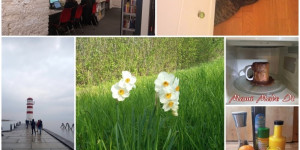 Beitragsbild des Blogbeitrags Monatscollage April 2023
