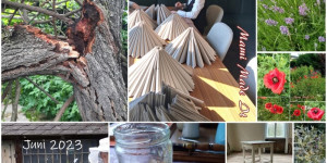 Beitragsbild des Blogbeitrags Monatscollage Juni 2023