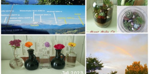 Beitragsbild des Blogbeitrags Monatscollage Juli 2023 