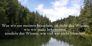 Beitragsbild des Blogbeitrags Zitat - Quote