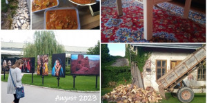 Beitragsbild des Blogbeitrags Monatscollage August 2023 