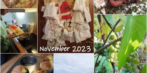 Beitragsbild des Blogbeitrags Monatscollage November 2023 