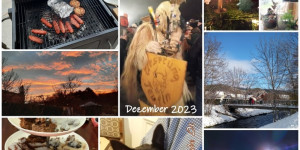 Beitragsbild des Blogbeitrags Monatscollage Dezember 2023