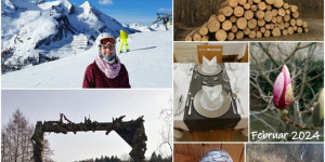 Beitragsbild des Blogbeitrags Monatscollage Februar 2024