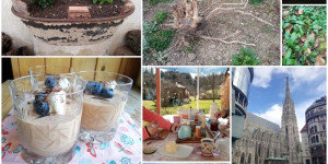Beitragsbild des Blogbeitrags Monatscollage März 2024