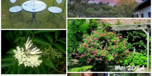 Beitragsbild des Blogbeitrags Monatscollage Mai 2024