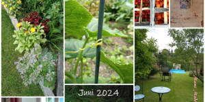 Beitragsbild des Blogbeitrags Monatscollage Juni 2024