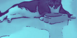 Beitragsbild des Blogbeitrags The Artist: Red Ran The Mathematikal