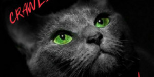 Beitragsbild des Blogbeitrags